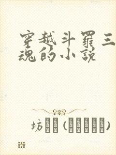 穿越斗罗三生武魂的小说