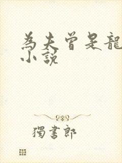 为夫曾是龙傲天小说封面