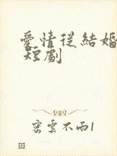 爱情从结婚开始 短剧