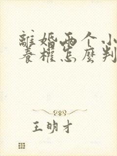 离婚两个小孩抚养权怎么判定封面