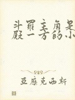 斗罗主角是武魂殿一方的小说