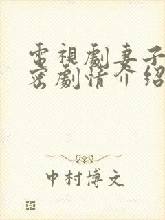 电视剧妻子的秘密剧情介绍大结局是什么