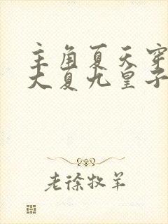 主角夏天穿越成大夏九皇子的小说叫什么名字