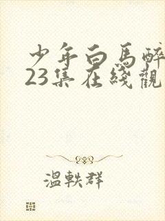 少年白马醉春风23集在线观看