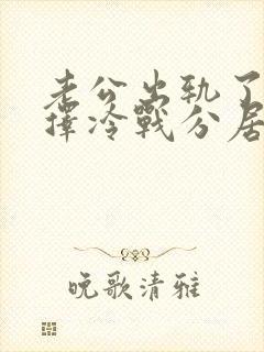 老公出轨了我选择冷战分居