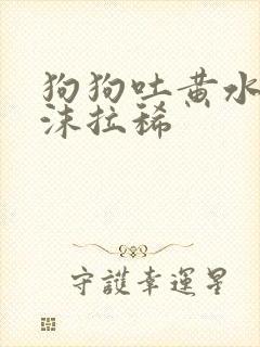 狗狗吐黄水有泡沫拉稀