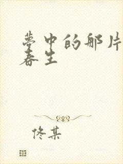 梦中的那片海肖春生封面