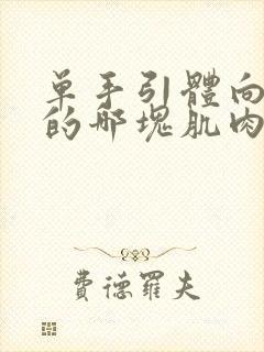 单手引体向上练的哪块肌肉