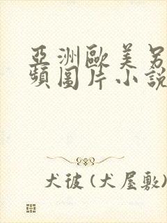 亚洲欧美另类视频图片小说