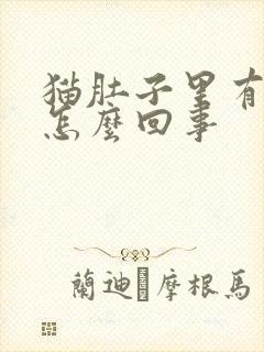 猫肚子里有积水怎么回事