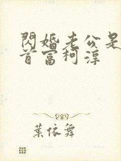 闪婚老公是千亿首富柯淳