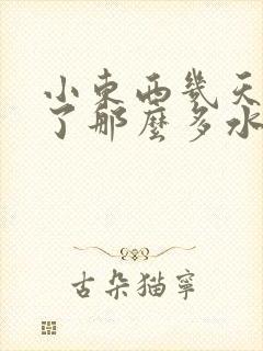 小东西几天没做了那么多水作文