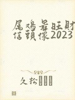 属鸡最旺财的微信头像2023
