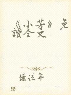 《小芳》免费阅读全文