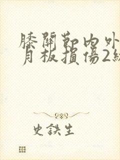 膝关节内外侧半月板损伤2级