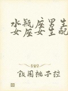 水瓶座男生和处女座女生配不配