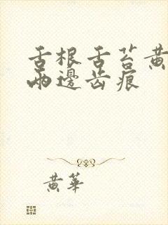 舌根舌苔黄腻 两边齿痕封面