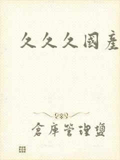 久久久国产二区