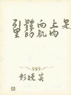 引体向上是练哪里的肌肉封面