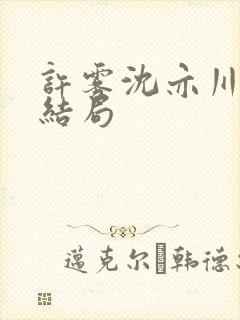 许雾沈亦川番外结局