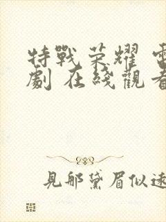 特战荣耀 电视剧 在线观看