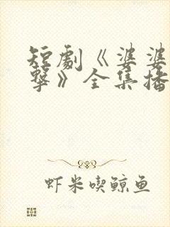 短剧《婆婆的反击》全集播放