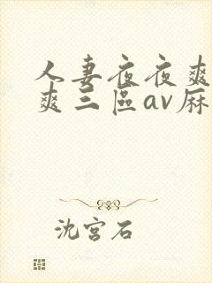 人妻夜夜爽天天爽三区av麻豆