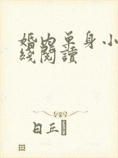 婚内单身小说在线阅读