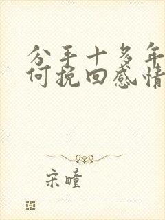 分手十多年的如何挽回感情