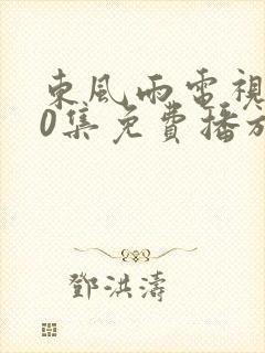 东风雨电视剧40集免费播放在线观看