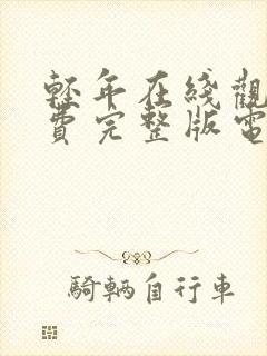 轻年在线观看免费完整版电视剧