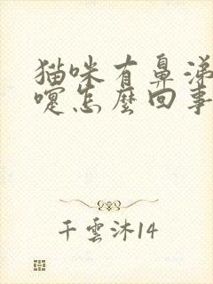 猫咪有鼻涕打喷嚏怎么回事封面