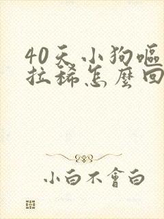 40天小狗呕吐拉稀怎么回事