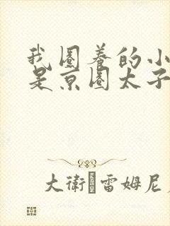 我圈养的小白脸是京圈太子爷短剧