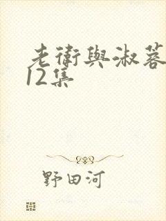 老卫与淑蓉1一12集