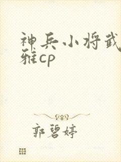 神兵小将武勇问雅cp