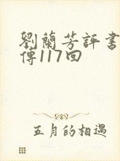 刘兰芳评书岳飞传117回