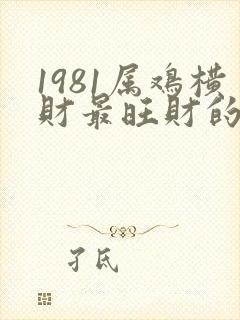 1981属鸡横财最旺财的名字