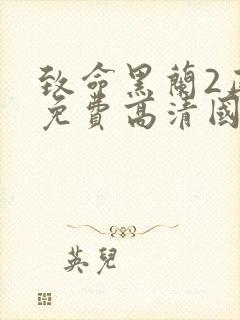 致命黑兰2正版免费高清国语版