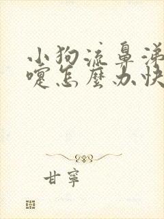 小狗流鼻涕打喷嚏怎么办快速解决