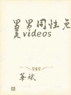 男男同性免费欧美videos封面