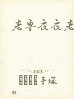 老鲁夜夜老鲁封面