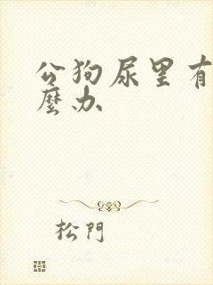 公狗尿里有血怎么办