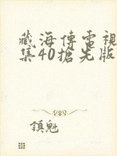 藏海传电视剧全集40抢先版