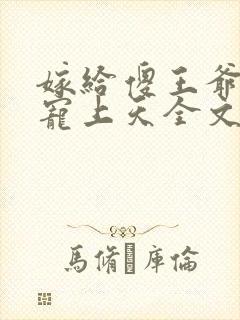 嫁给傻王爷后被宠上天全文免费阅读