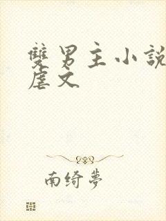 双男主小说推荐虐文封面