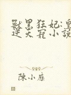 兽黑狂妃:皇叔逆天宠小说