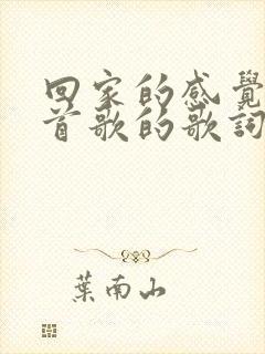 回家的感觉是哪首歌的歌词