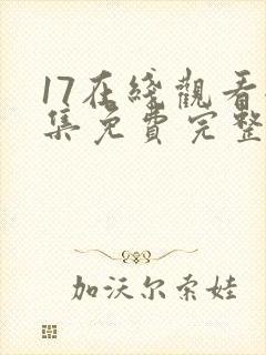 17在线观看全集免费完整封面