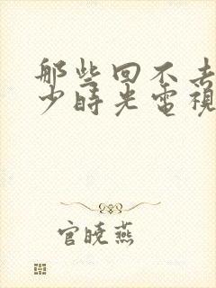 那些回不去的年少时光电视剧演员表封面